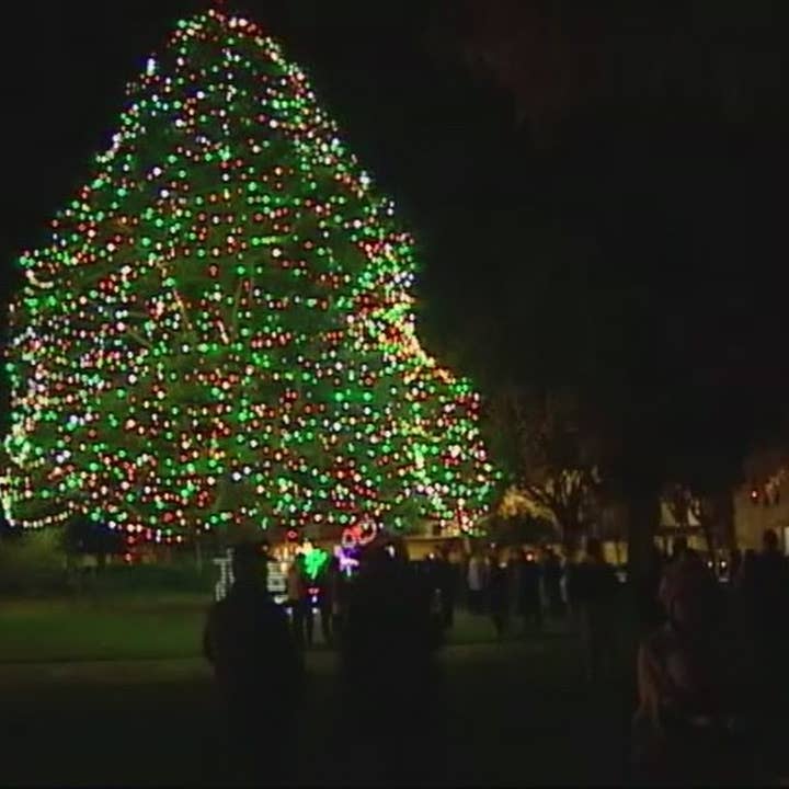 Monterey Lights City Tree