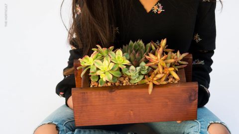 preview for How to Make a Succulent Window Box