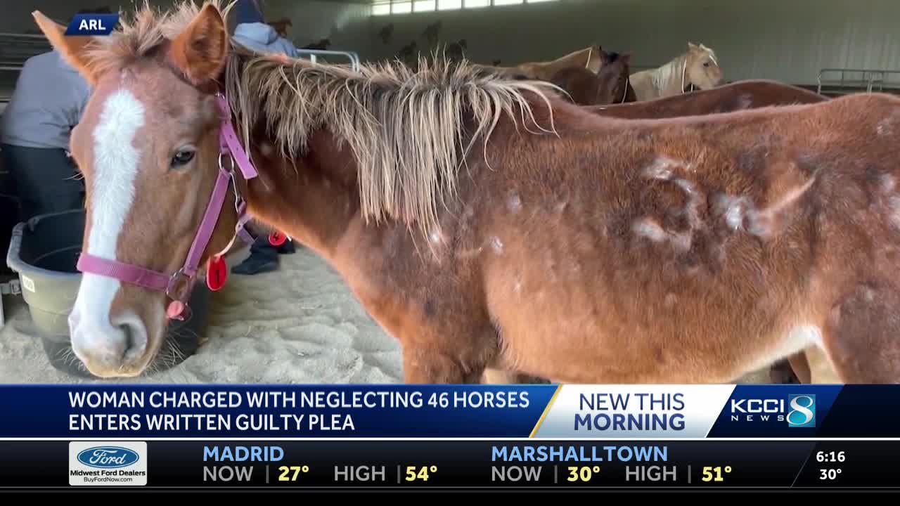 Dallas County woman pleads guilty after dozens of neglected horses rescued from her property