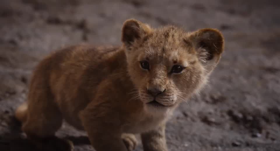 preview for The Lion King trailer gives us a first look at Scar (Disney)