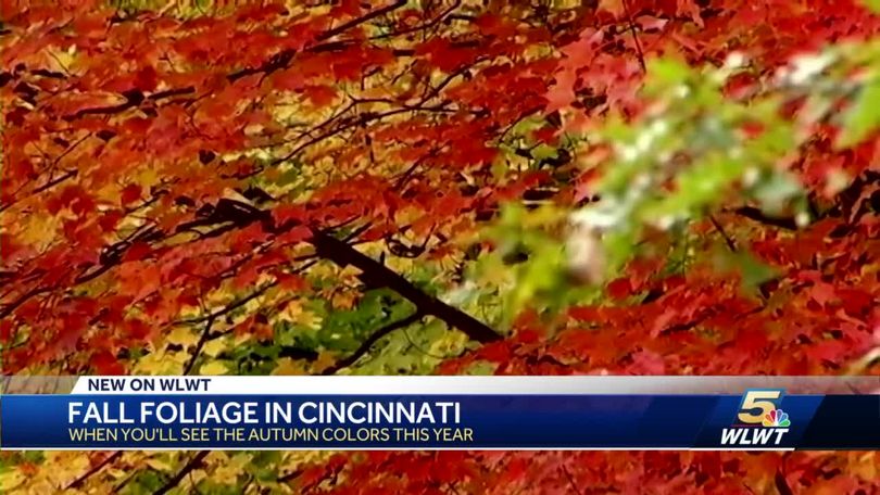 5 Years Later: Shades of Autumn