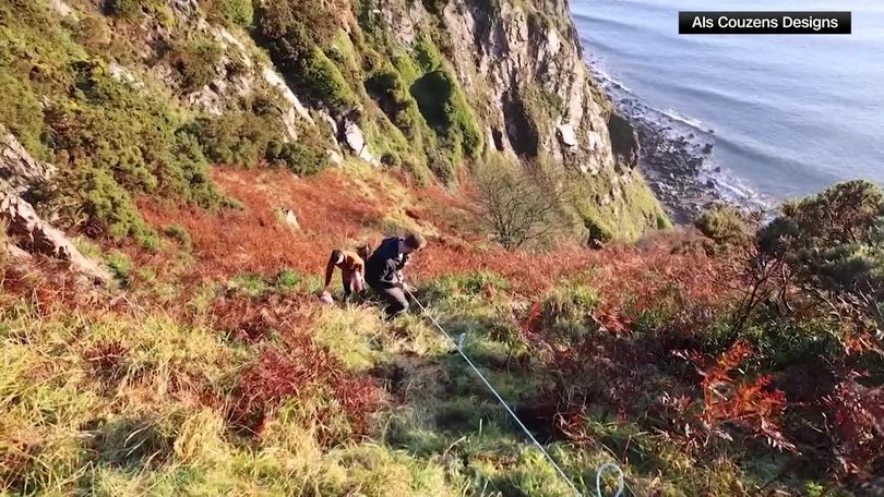 Dog Saved From Plummeting Off Cliff by Owner in Shocking Clip