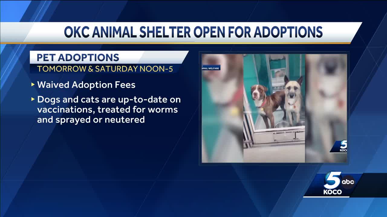 Oklahoma City Animal Shelter reopening for adoption event Friday a month after latest infection outbreak