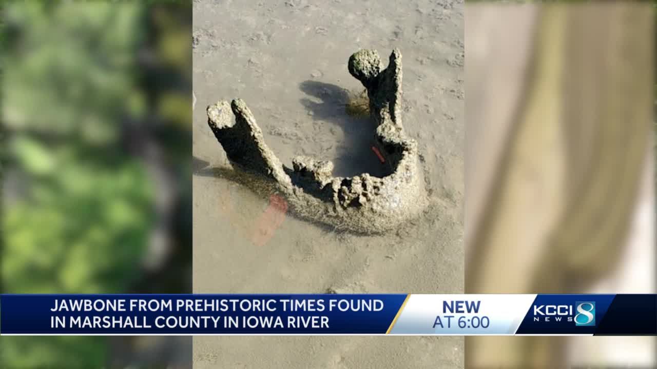 Jawbone from prehistoric times found in Iowa River