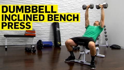 preview for Dumbbell Incline Bench Press