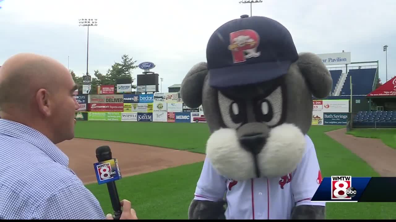 New mascot debuts before Portland Sea Dogs game