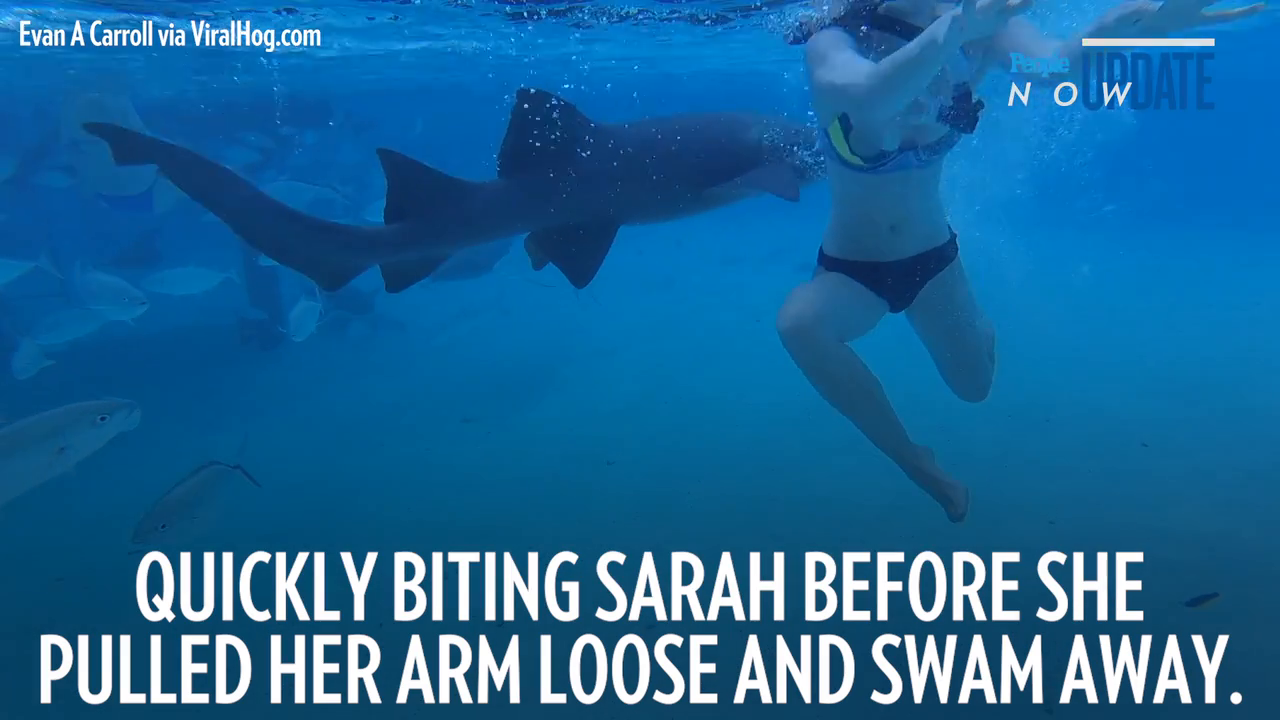 Video of newlywed attacked by shark on her honeymoon goes viral