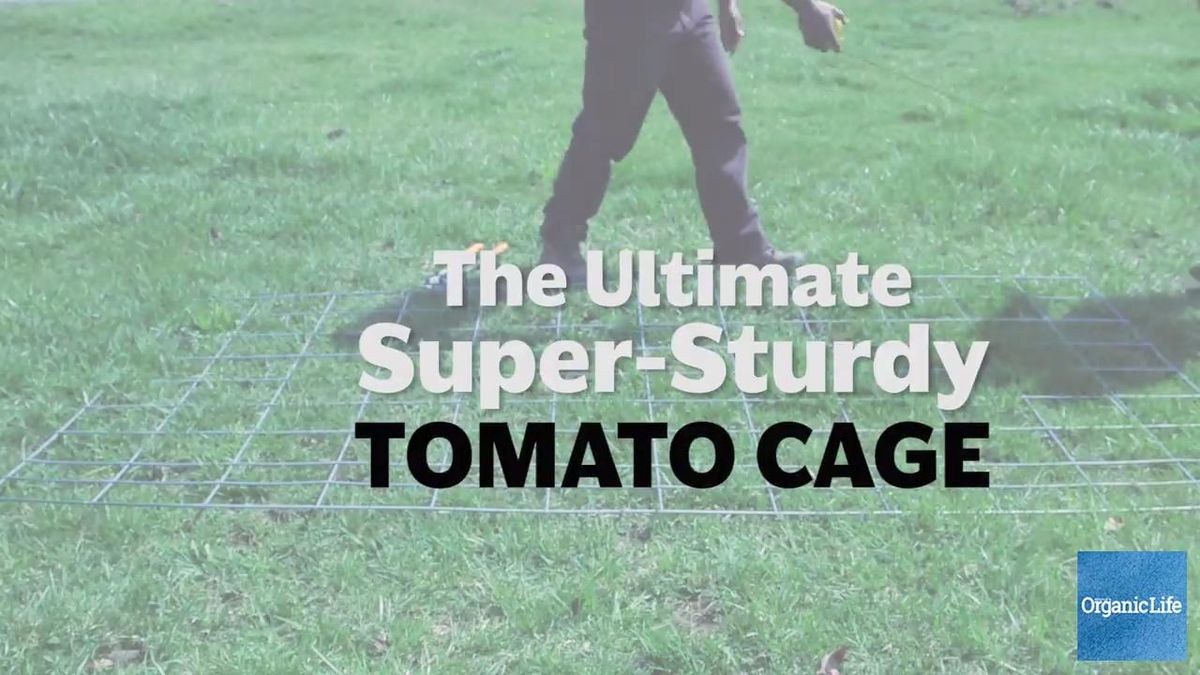 preview for The Ultimate Super-Sturdy Tomato Cage