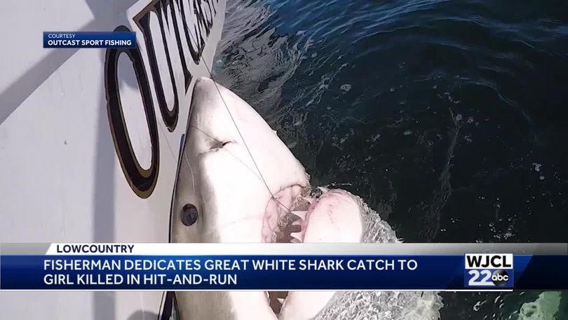 Shark caught off Hilton Head named for teen killed in hit-and-run