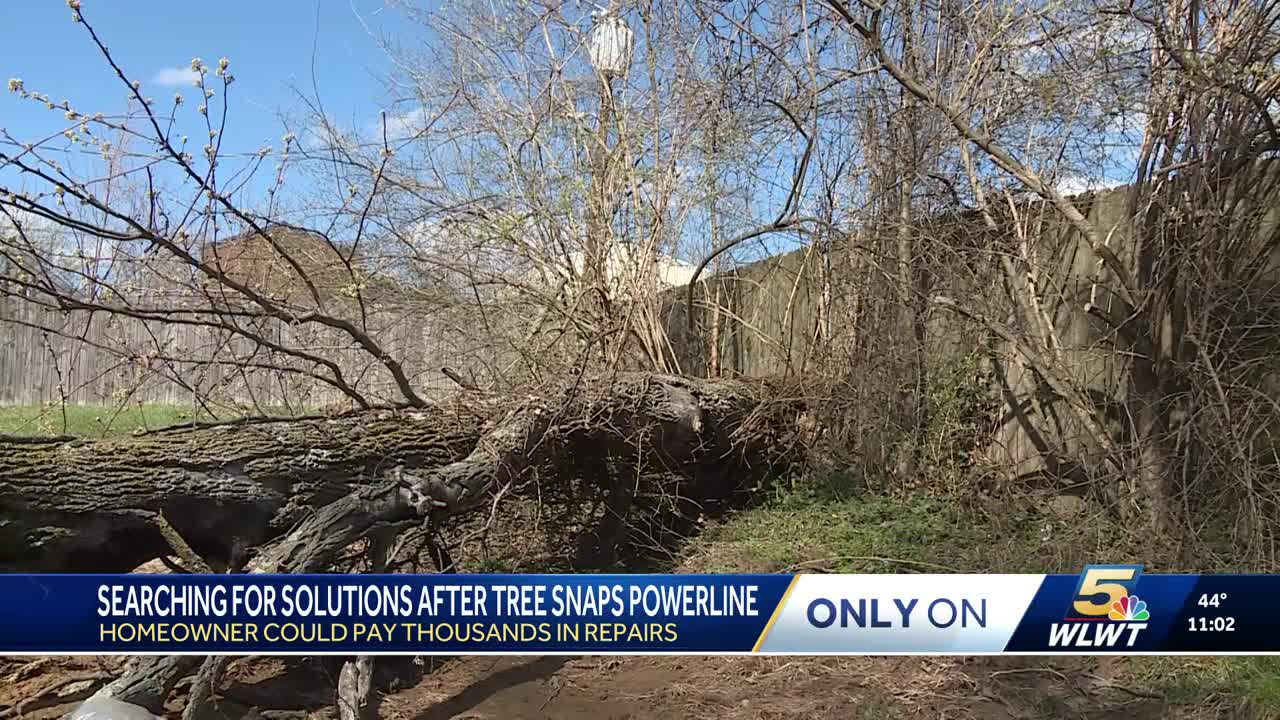 Florence mom says she must pay thousands after tree tagged to be cut down by Duke Energy snapped power line