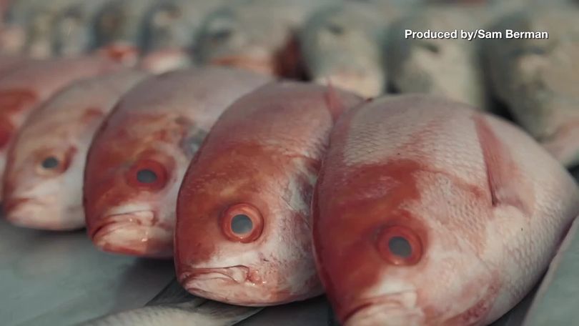 Report: Market shut down for putting googly eyes on fish to make
