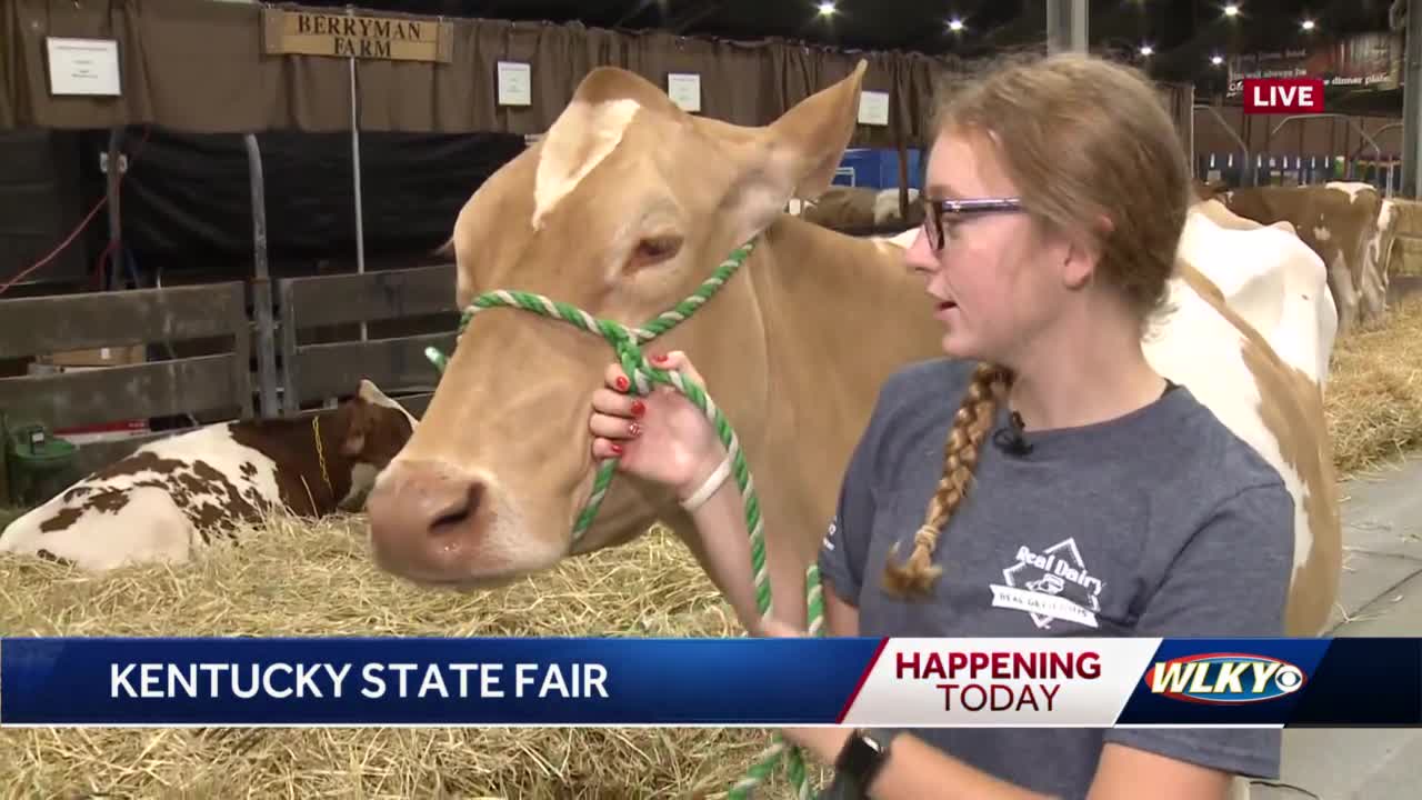 Thousands of animals entered in Kentucky State Fair competitions