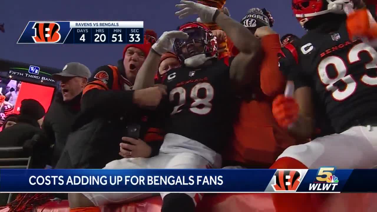 Twitter and GIF reactions to Bengals getting demolished by Ravens - Cincy  Jungle