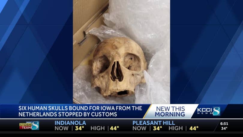 Skull And Bones - CBS News