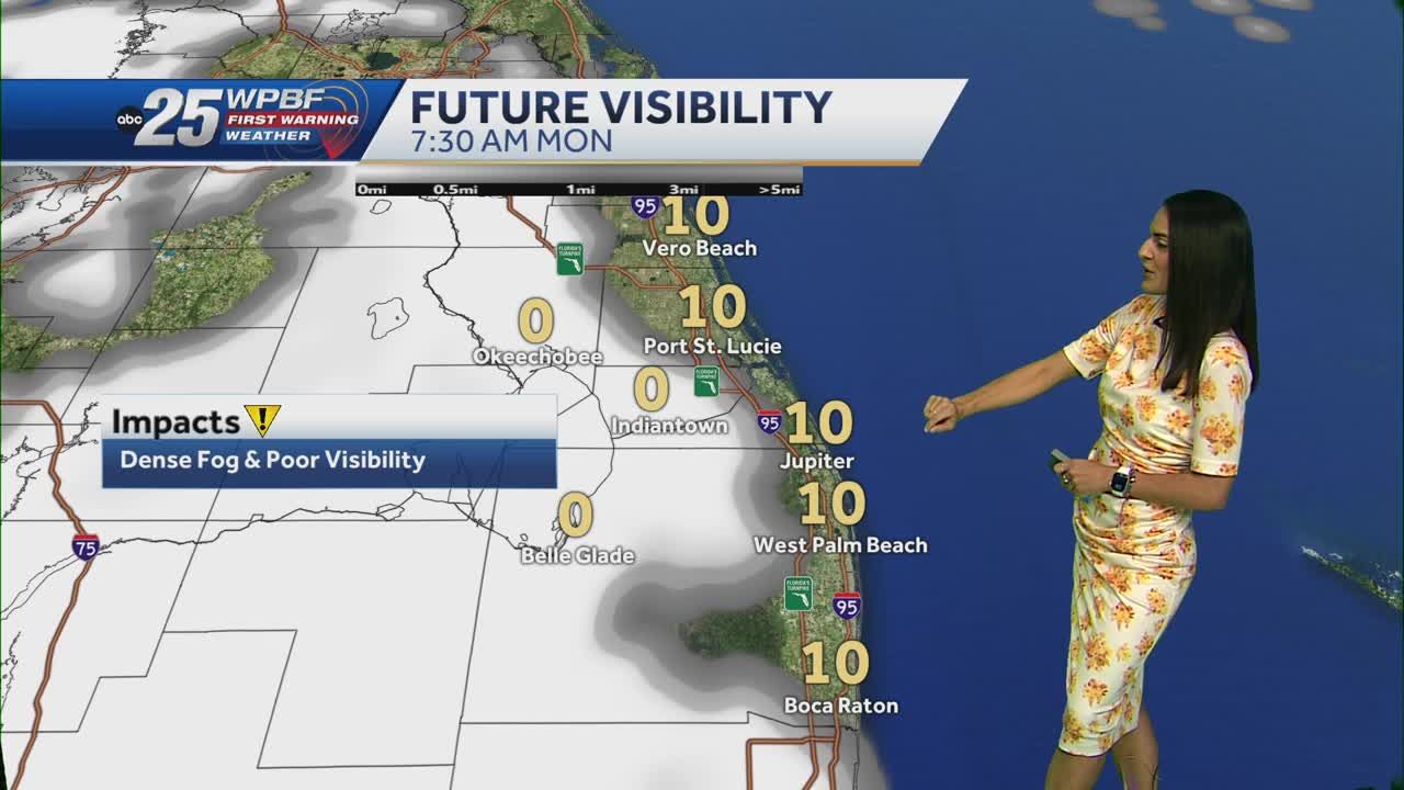 Areas of fog to impact morning commutes this week
