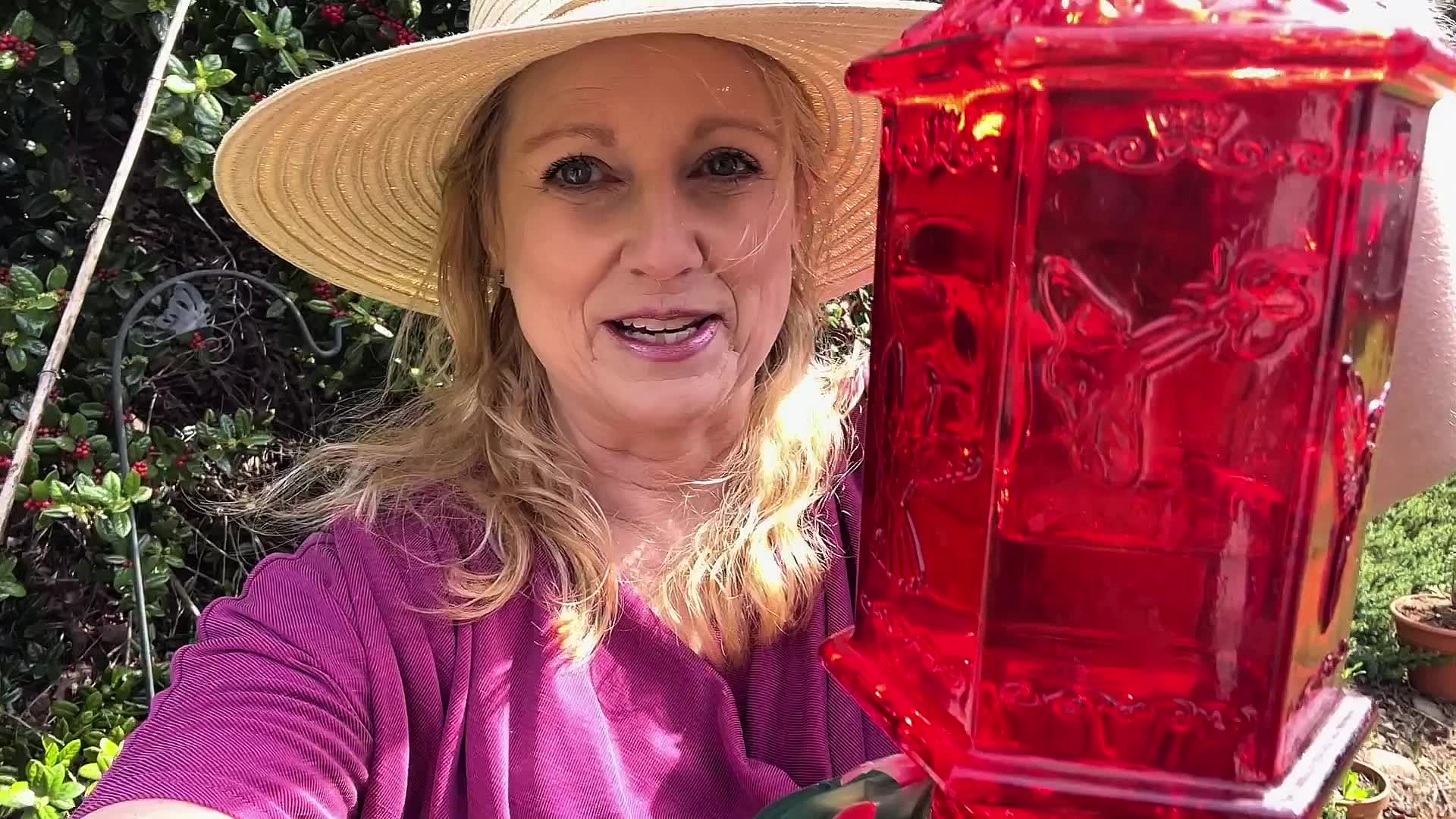 Hummingbirds are flying back to North Carolina: Are your hummingbird feeders ready?