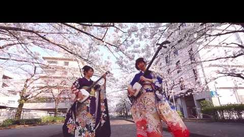 preview for Japanese Duo Play Shamisen Under the Cherry Blossoms