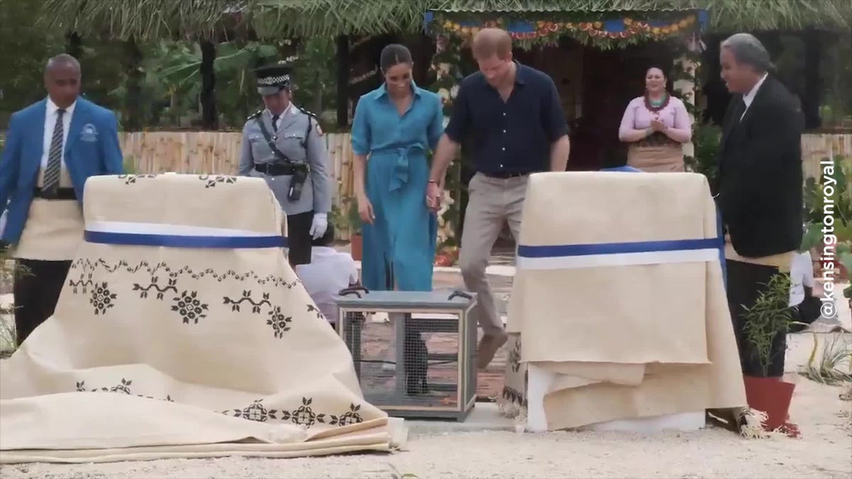 preview for Duchess of Sussex wears blue-shirt dress to Eua National Park Reserve