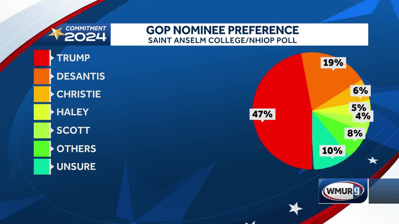 New Hampshire 2024 Poll - Tatum Gabriela