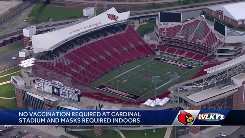 Louisville Cardinals Football Field Clear Case