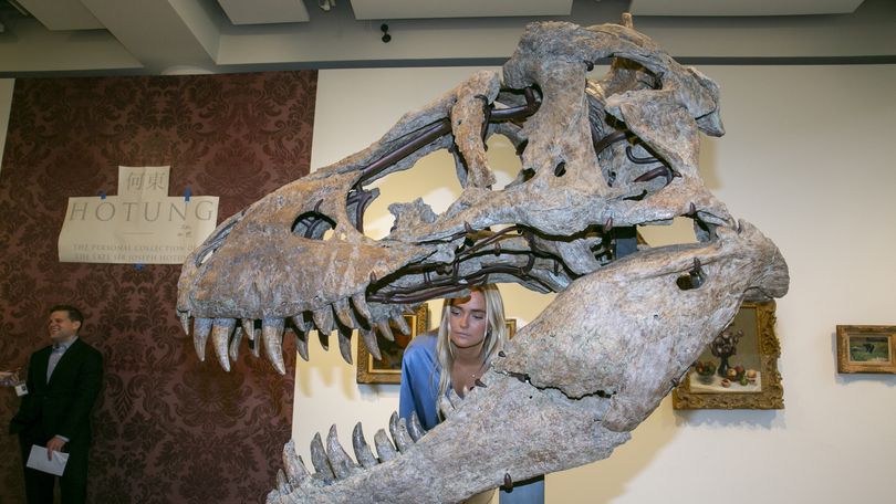 T. rex fossil sells for more than $5M at Zurich auction