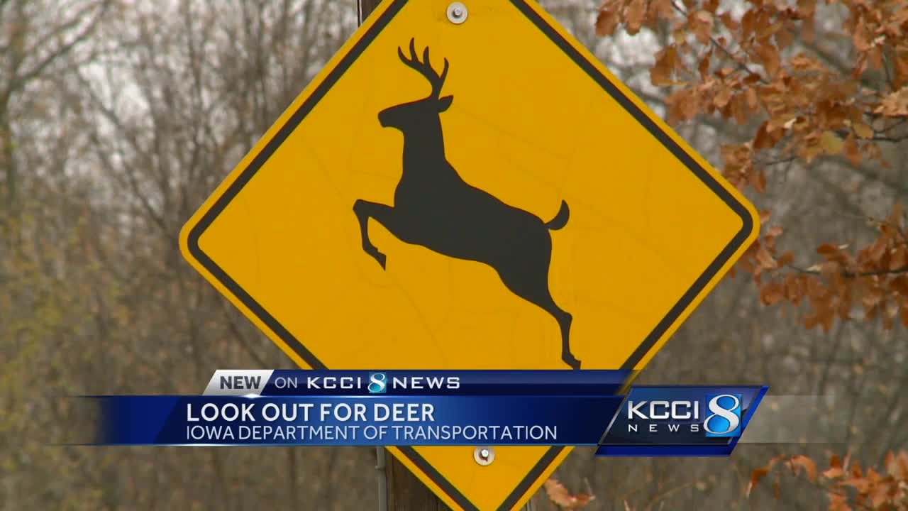 Iowa Department of Transportation on deer crossing signs