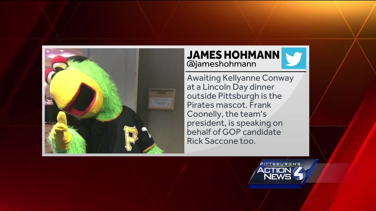 Pittsburgh Pirates fans and the team's mascot, the Pirate Parrot