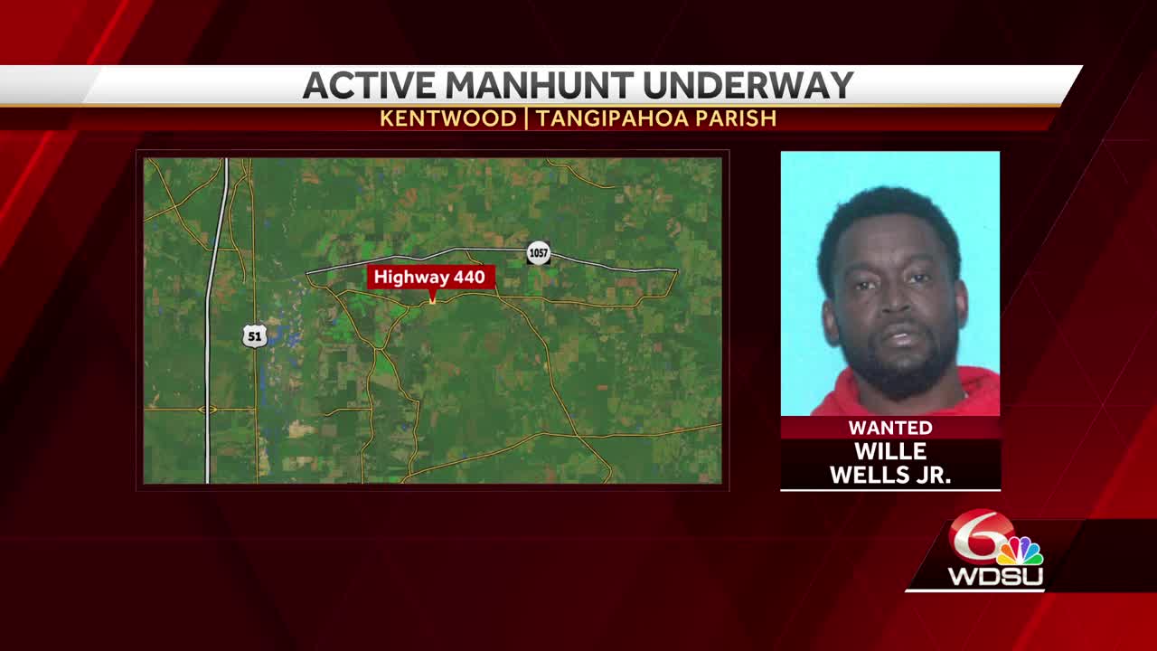 Tangipahoa Parish deputies searching for murder suspect near Highway 440 in Kentwood