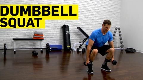 preview for Dumbbell Squat
