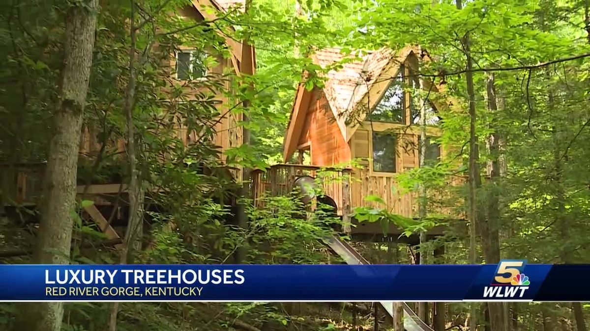preview for These luxury treehouses are the brain child of a Cincinnati man
