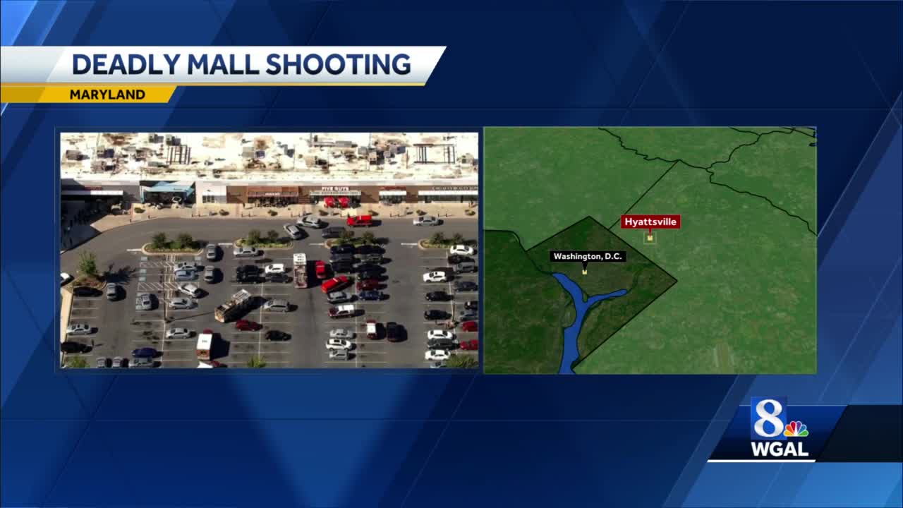 2 boys charged in Maryland mall shooting