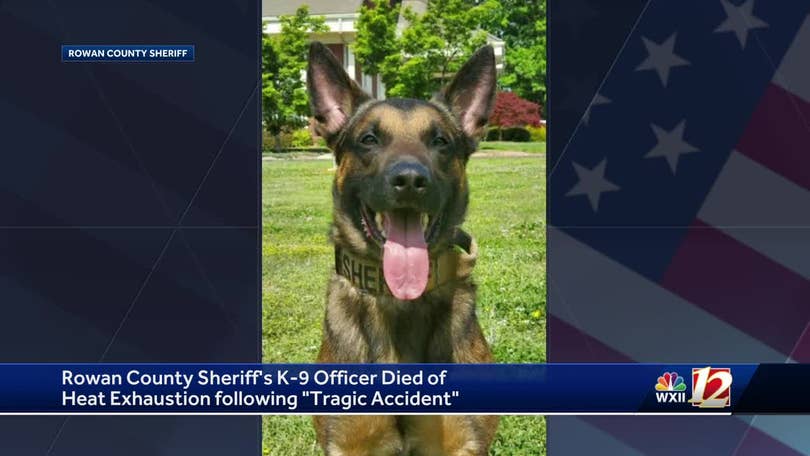 Harford Sheriff on X: It's with great sadness that for the second time  this month we announce the passing of a retired HCSO K9. K9 Bruno died  Monday night at the age