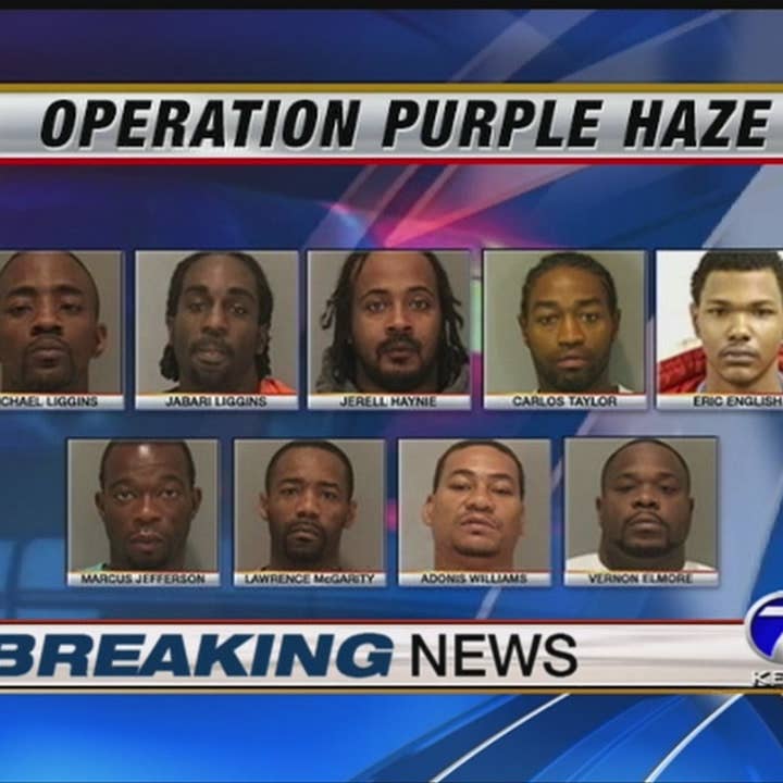 Operation Purple Haze