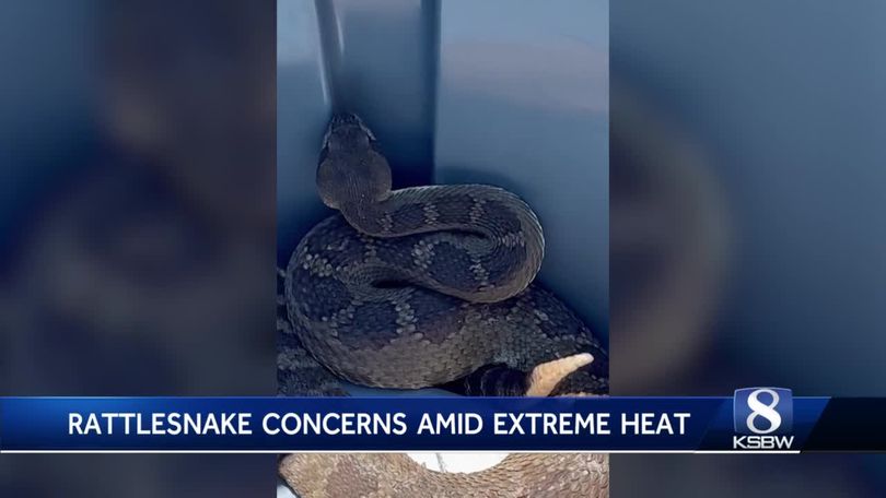 When it Comes to Snakes - Play it Safe! > Edwards Air Force Base