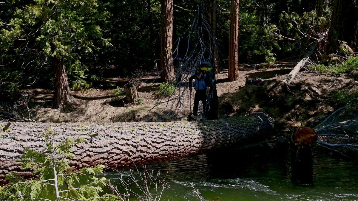 Surviving the Sierra, Day 5