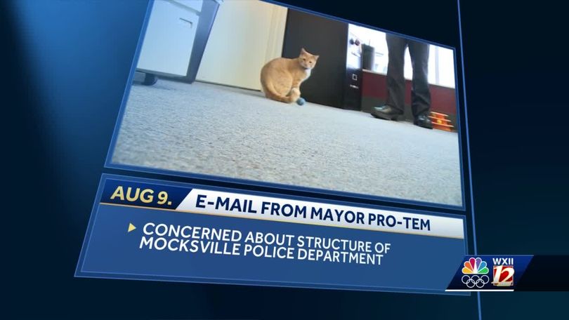 Sarge Butters: The Police Cat Who Turned A Small Town Upside Down