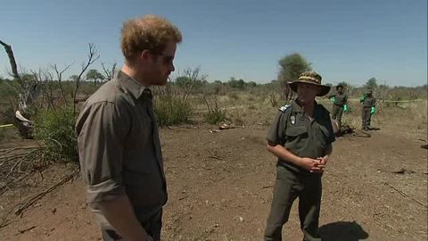 preview for Prince Harry Learns About Rhino Poaching in South Africa in 2015