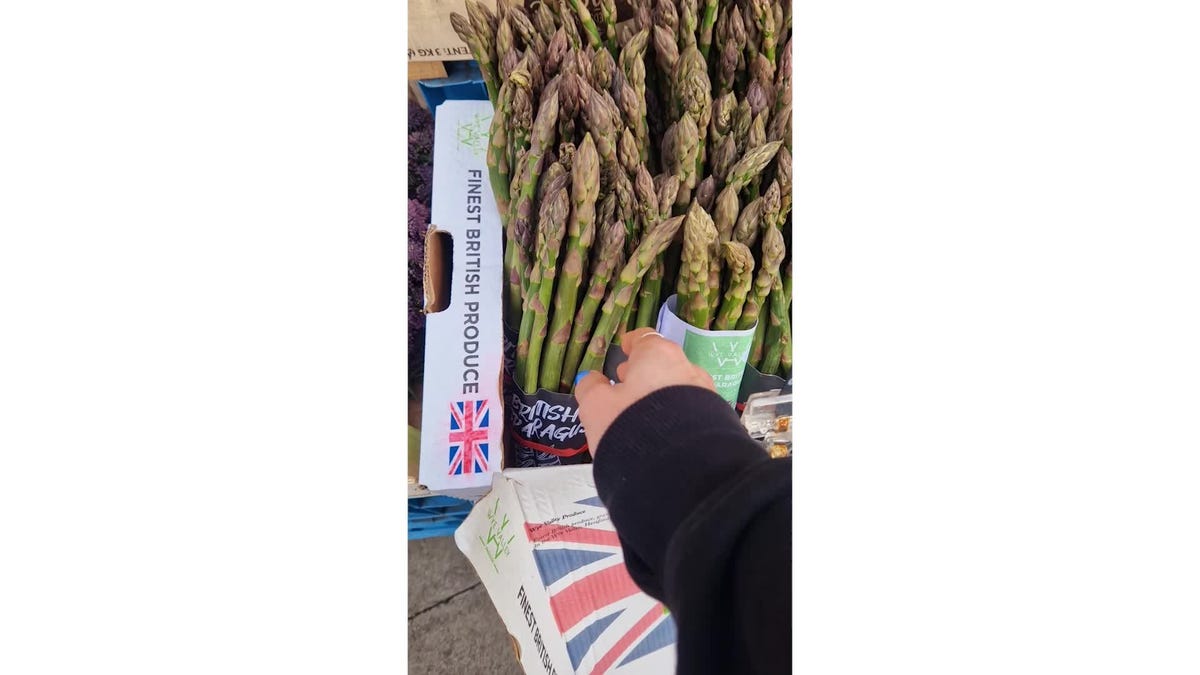 preview for Asparagus Orzotto