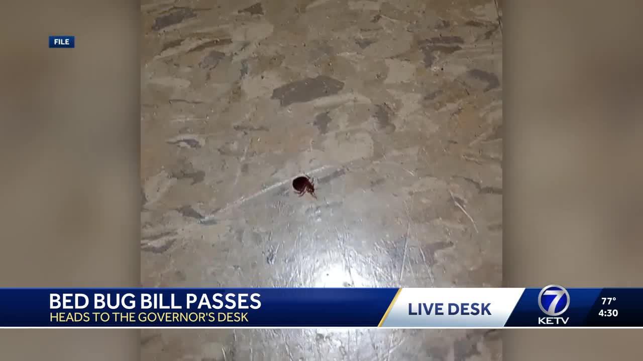Bill bringing 'step of accountability' for housing authorities heads to Nebraska governor's desk