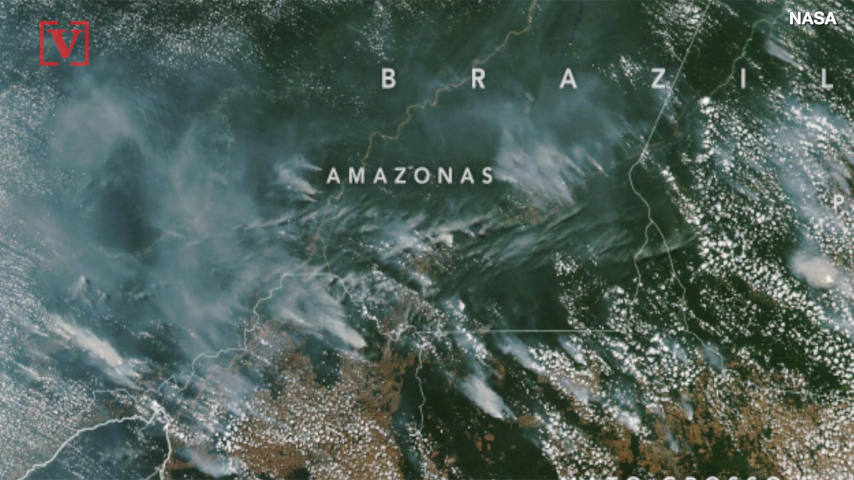 preview for Amazon Rain Forest Fires Can Be Seen From Space