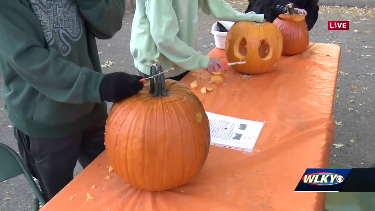 Moonlit Jack-o-Lantern stroll returns to Highlands estate