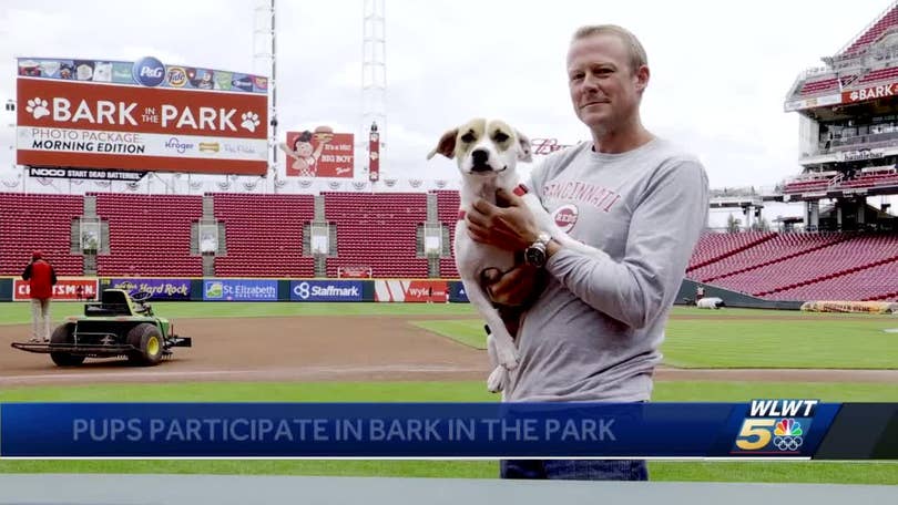 More than 200 pups take over Great American Ball Park for Bark at the Park