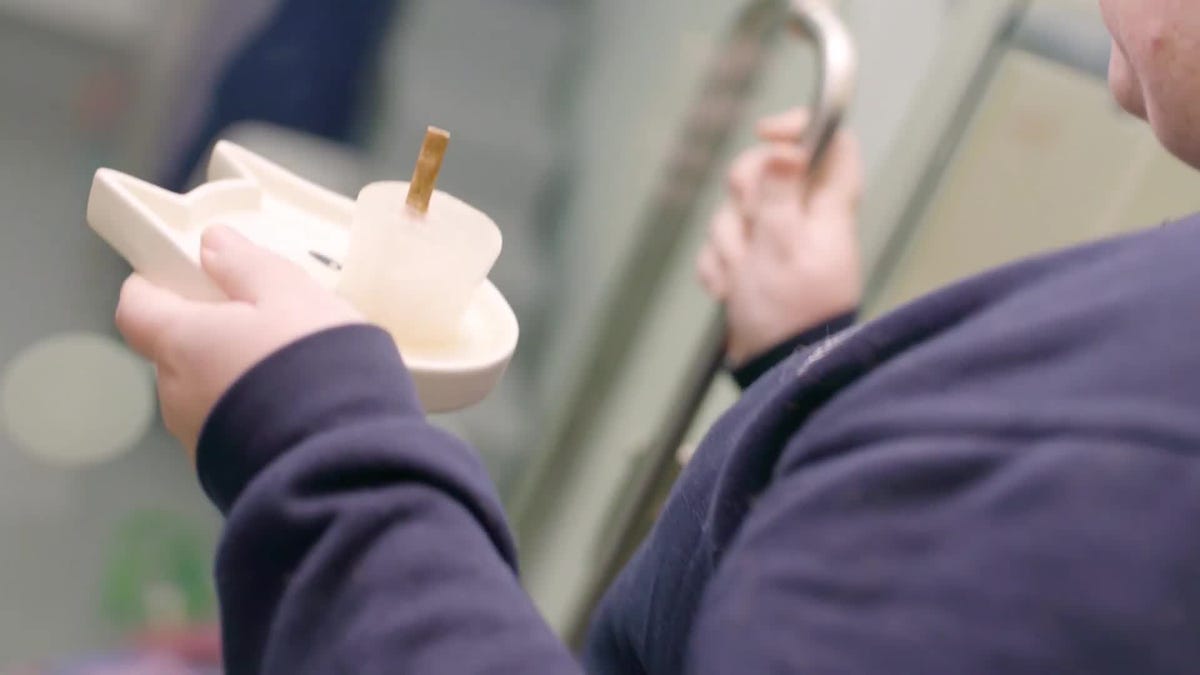 battersea dogs and cats home pet ice lolly recipe