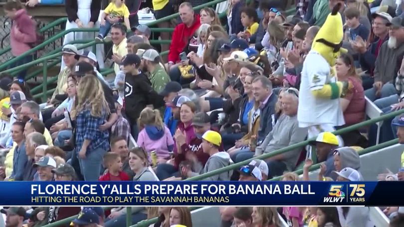 The Florence Y'alls CHALLENGE The Savannah Bananas