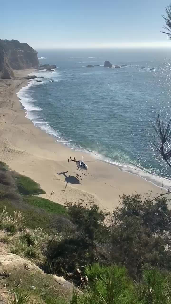 Woman rescued after falling down Davenport beach cliff