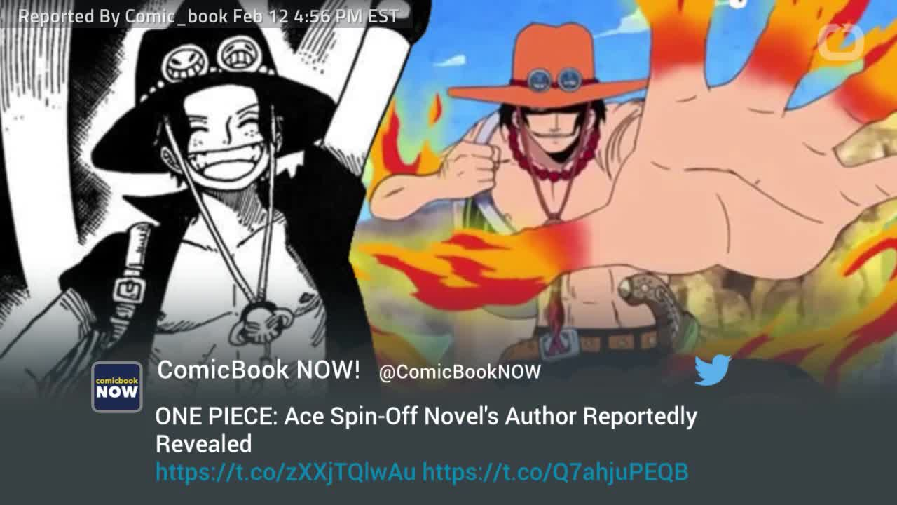 Who S Writing One Piece Spin Off Novel