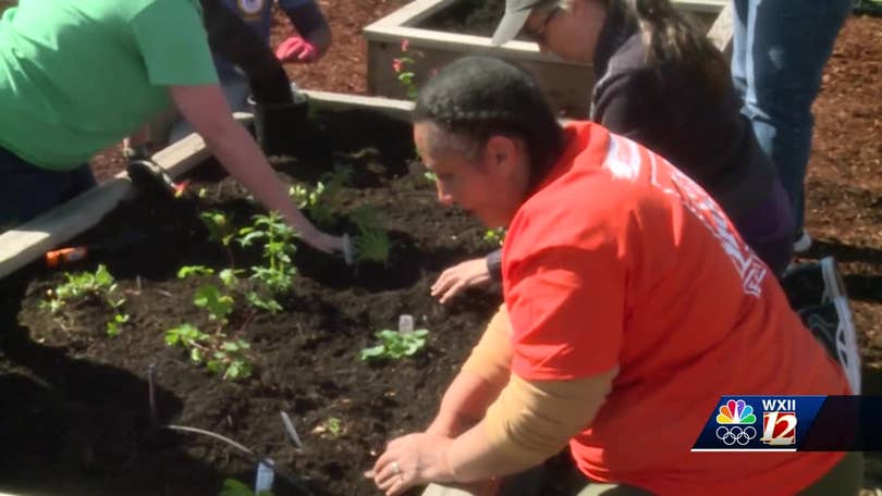 How To Spell Releaf? Compost Garden T-Shirt For Gardener