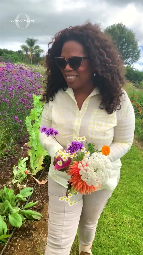 preview for Oprah Flower Garden
