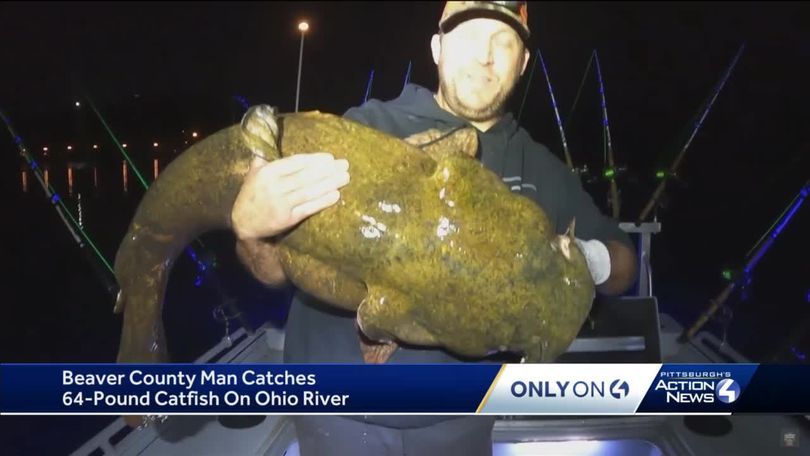Could This Be The Next Big Thing In Catfishing? Let's Find Out! (Big Fish  Caught) 