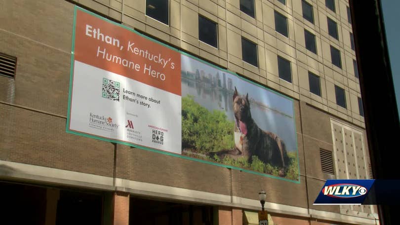 Ethan the Dog gets Hometown Hero banner in Louisville